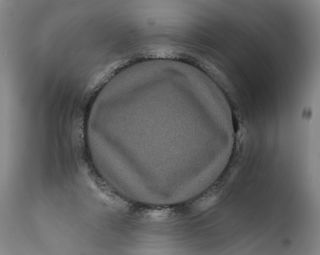 X0000111120306200907211056
