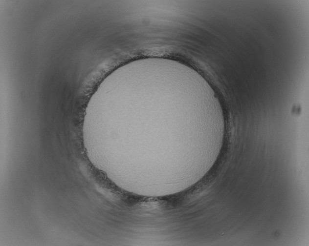 X0000111120307200907211056
