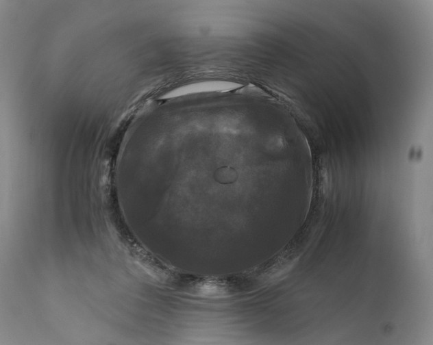 X0000111120308200907211056
