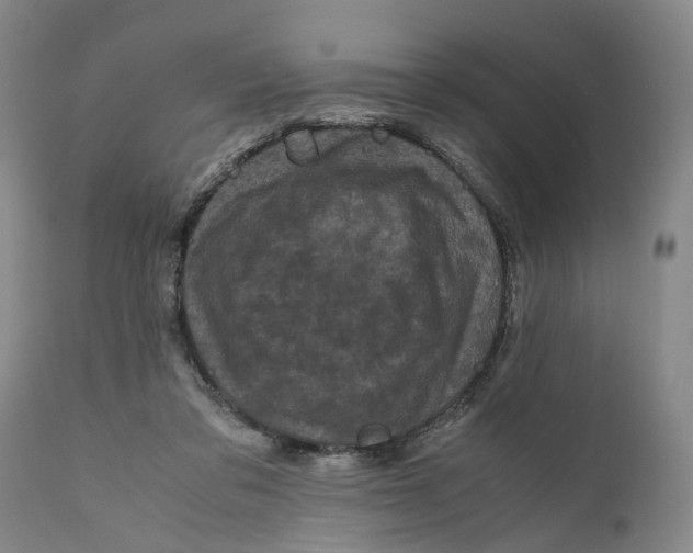 X0000111120309200907211056