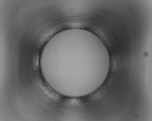 X0000111120310200907211056