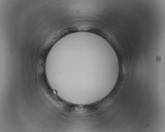X0000111120311200907211056