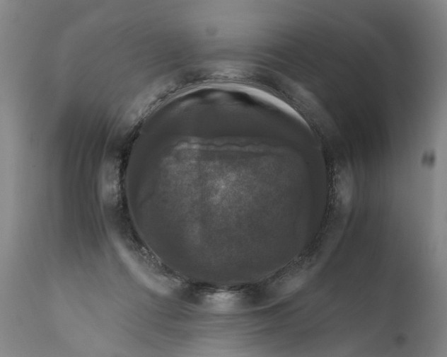 X0000111120312200907211056
