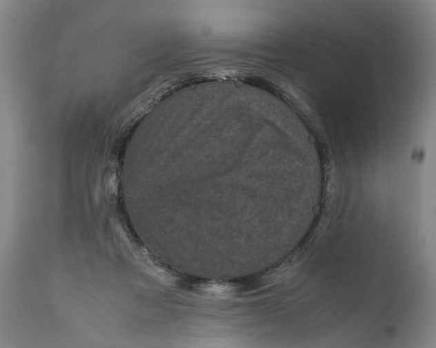 X0000111120313200907211056