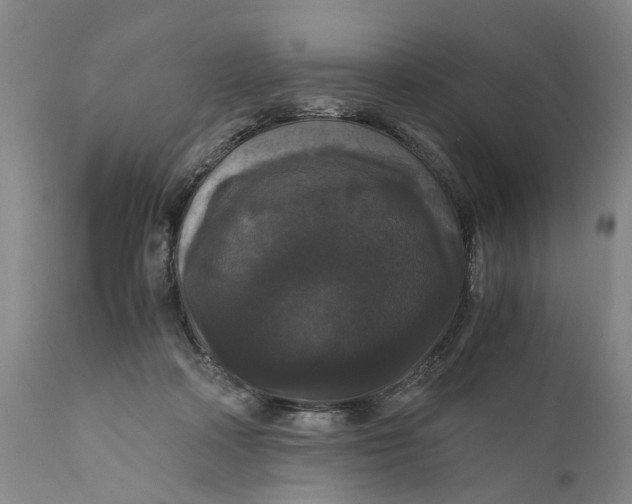 X0000111120314200907211056