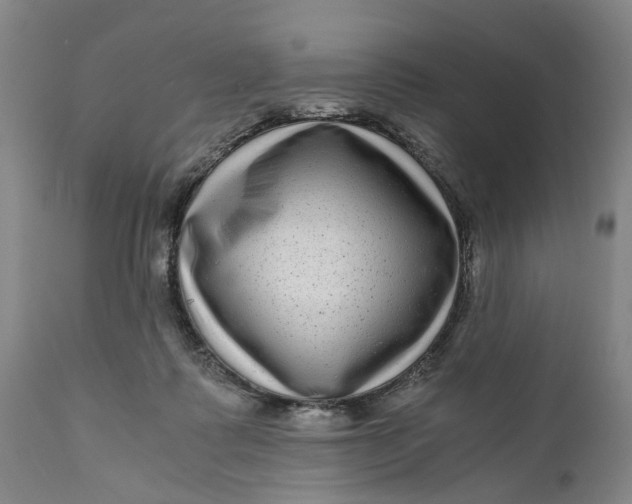 X0000111120315200907211056