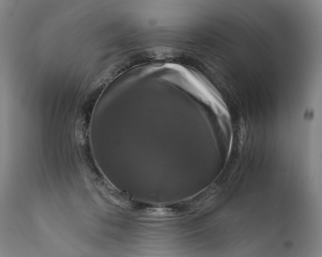 X0000111120316200907211056