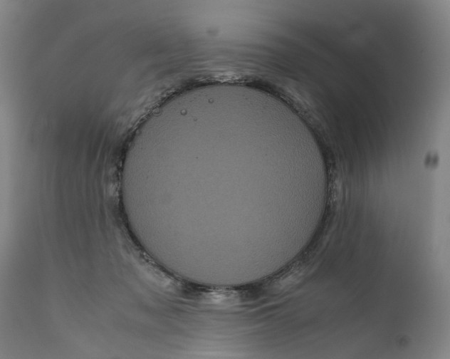 X0000111120317200907211056