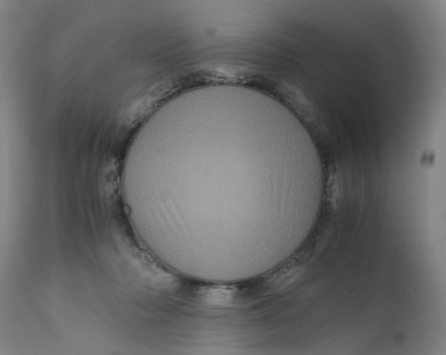 X0000111120318200907211056