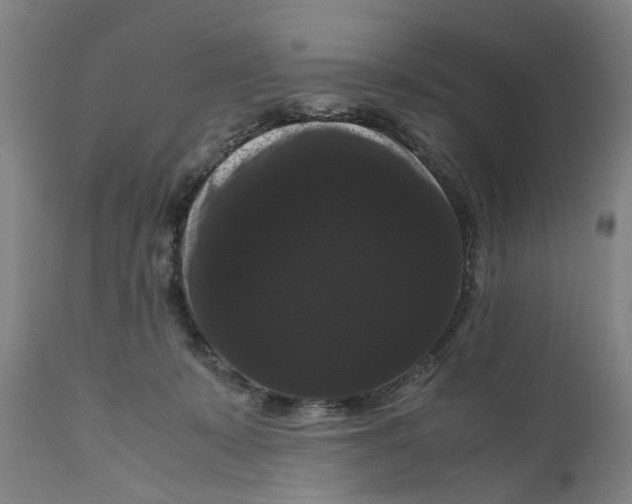 X0000111120319200907211056