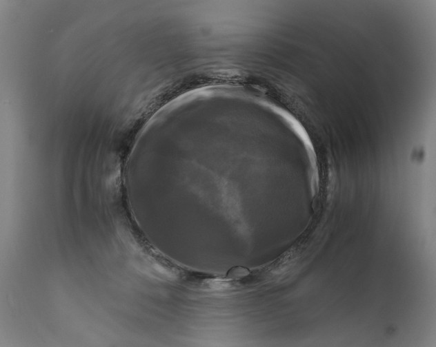 X0000111120320200907211056