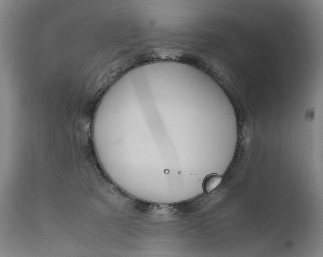 X0000111120321200907211056