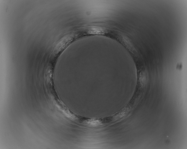 X0000111120322200907211056