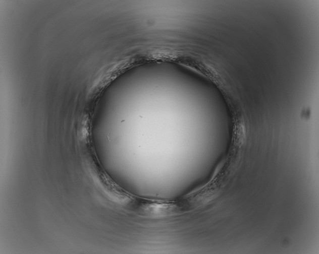 X0000111120323200907211056