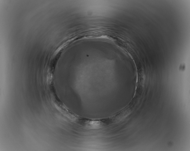 X0000111120324200907211056