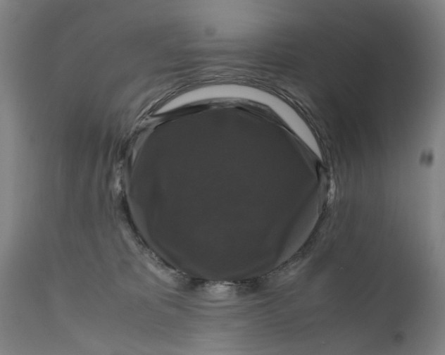 X0000111120325200907211056