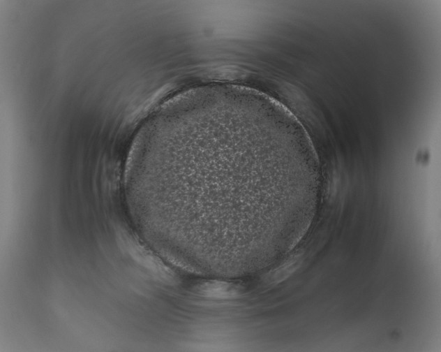 X0000111120326200907211056