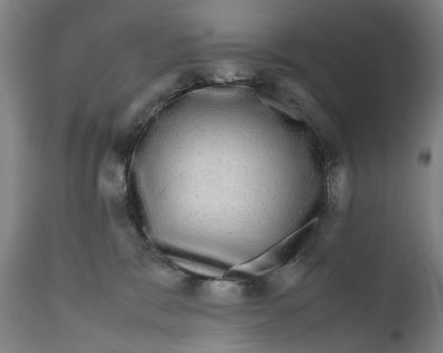 X0000111120327200907211056