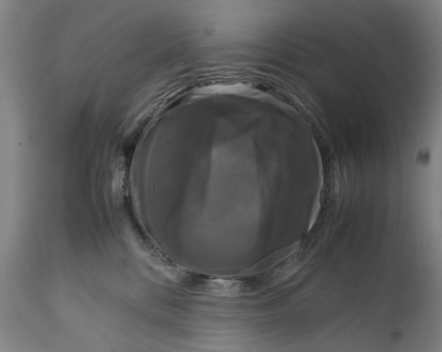 X0000111120328200907211056