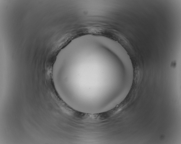 X0000111120329200907211056