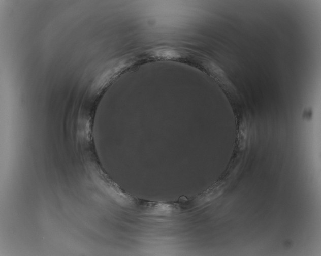 X0000111120330200907211056