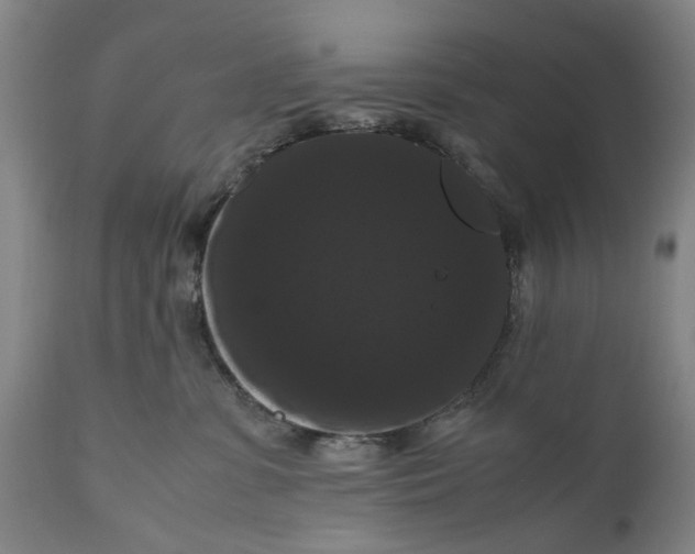 X0000111120331200907211056