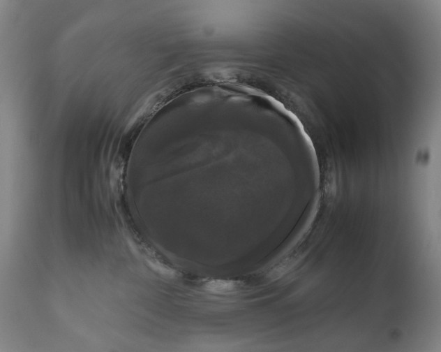 X0000111120332200907211056