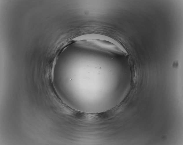 X0000111120333200907211056