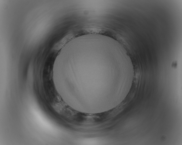 X0000111120334200907211056