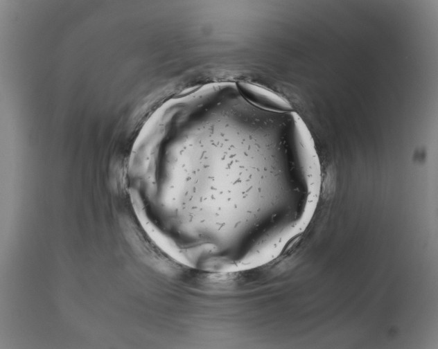 X0000111120335200907211056