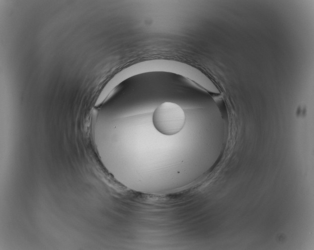 X0000111120336200907211056