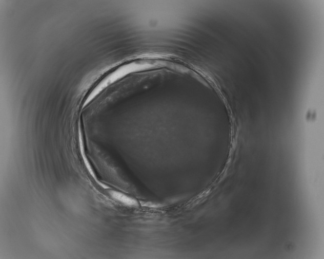 X0000111120337200907211055
