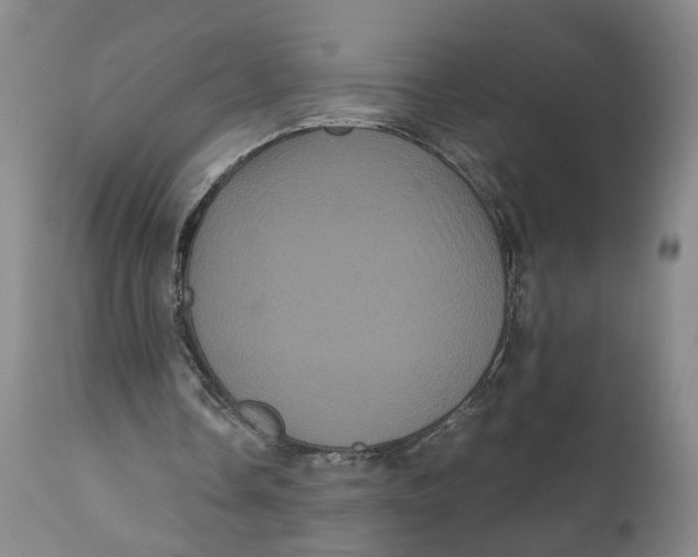 X0000111120338200907211055