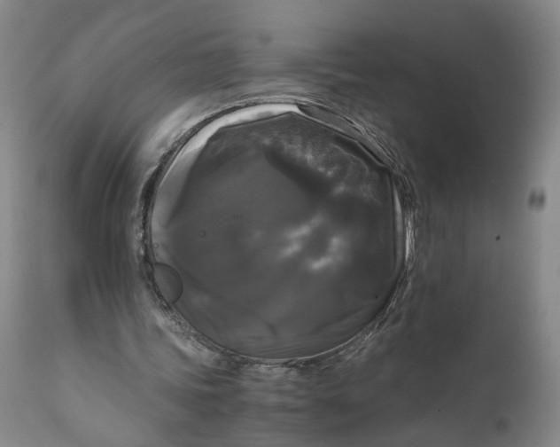 X0000111120339200907211055