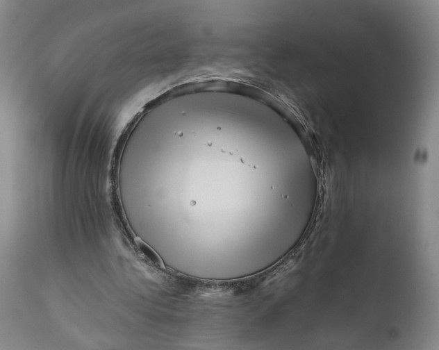 X0000111120340200907211055