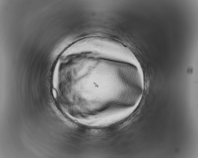 X0000111120341200907211055