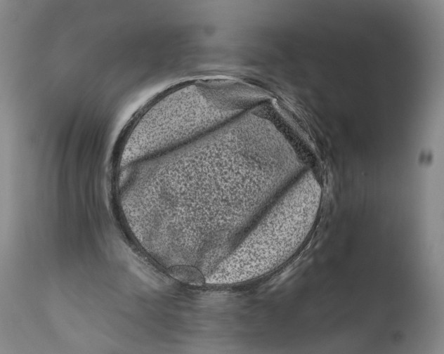 X0000111120342200907211055