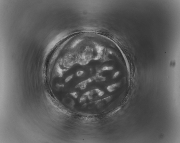 X0000111120343200907211055