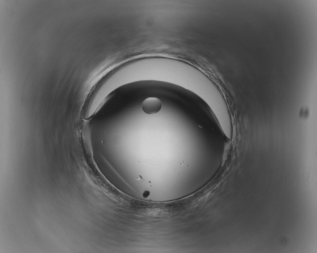 X0000111120344200907211055