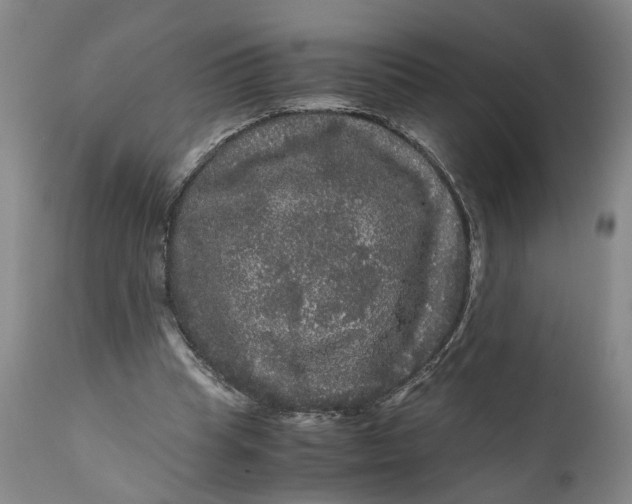 X0000111120345200907211055