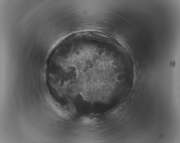 X0000111120346200907211055