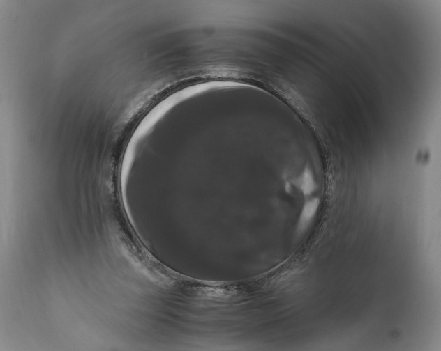 X0000111120347200907211055