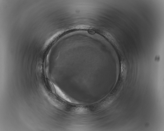 X0000111120348200907211055