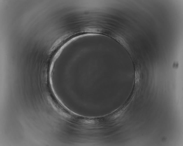 X0000111120349200907211055
