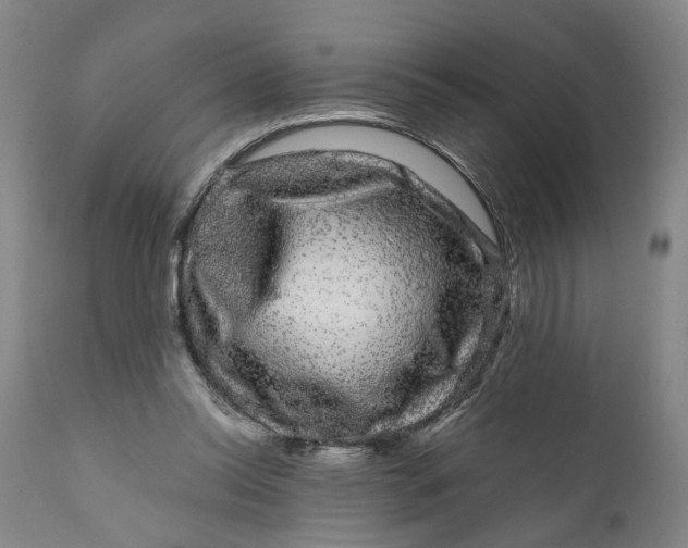 X0000111120350200907211055