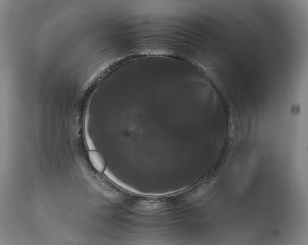 X0000111120351200907211055