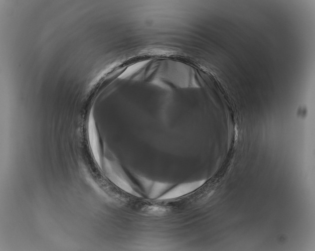 X0000111120352200907211055
