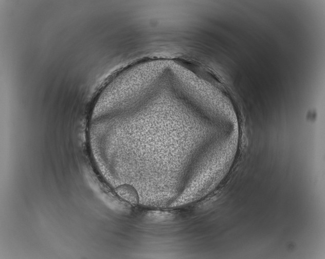 X0000111120354200907211055