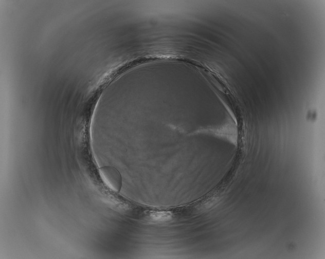 X0000111120355200907211055