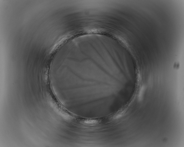 X0000111120357200907211055